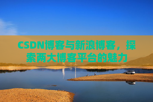CSDN博客与新浪博客,探索两大博客平台的魅力